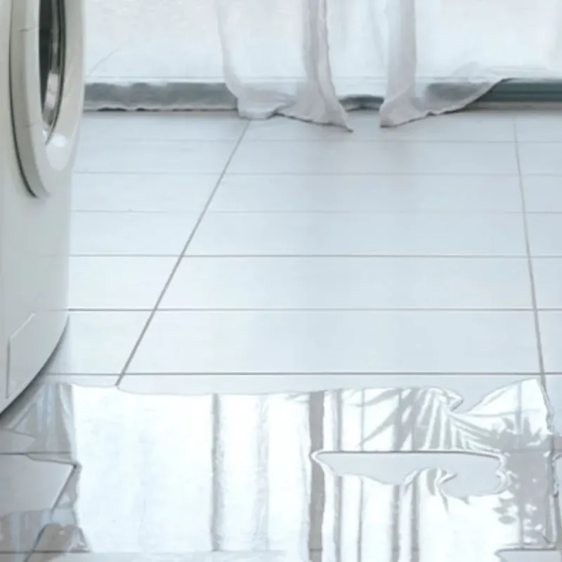 Appliance Leak Cleanup in Colonia, NJ